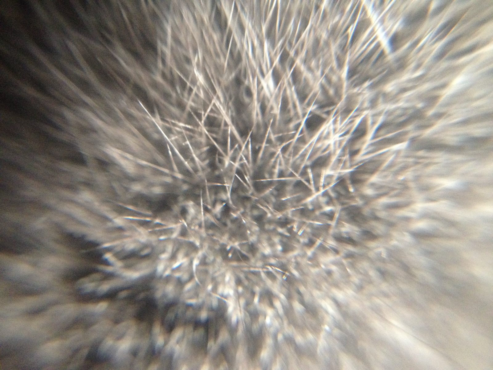 IMG_1406.png