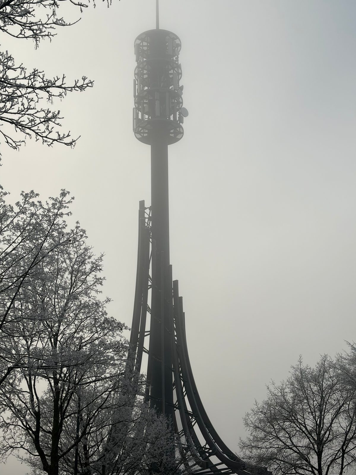 IMG_0162.png