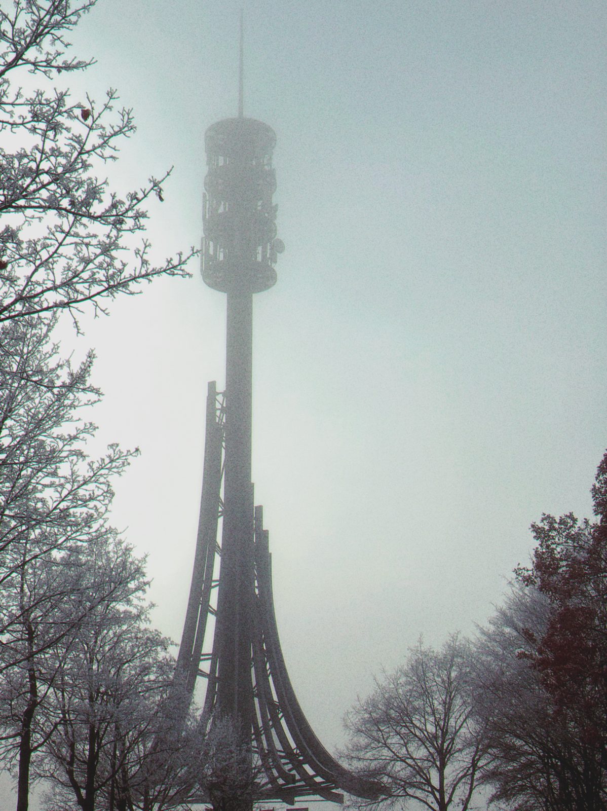 IMG_0165.png