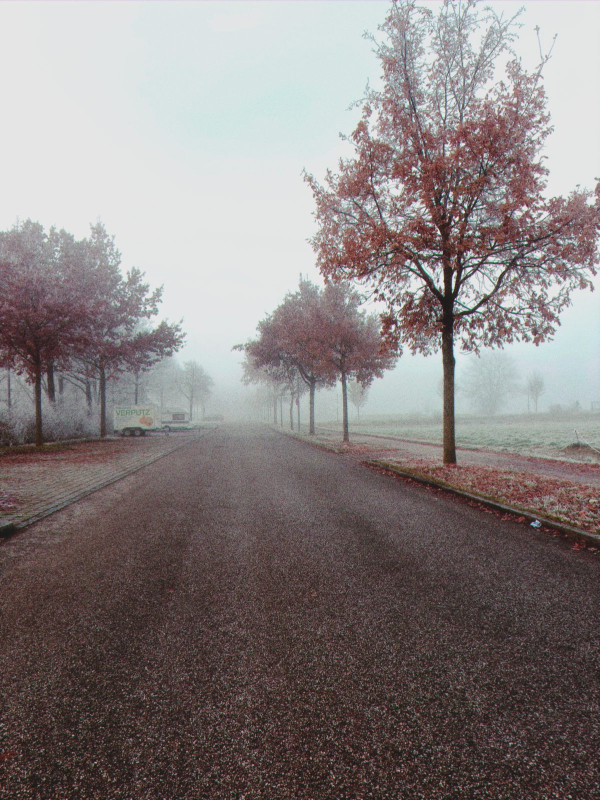 IMG_0167.png