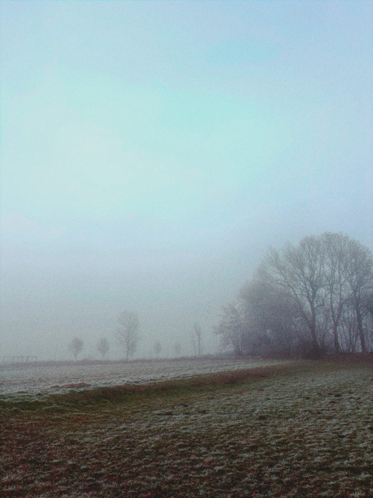IMG_0168.png