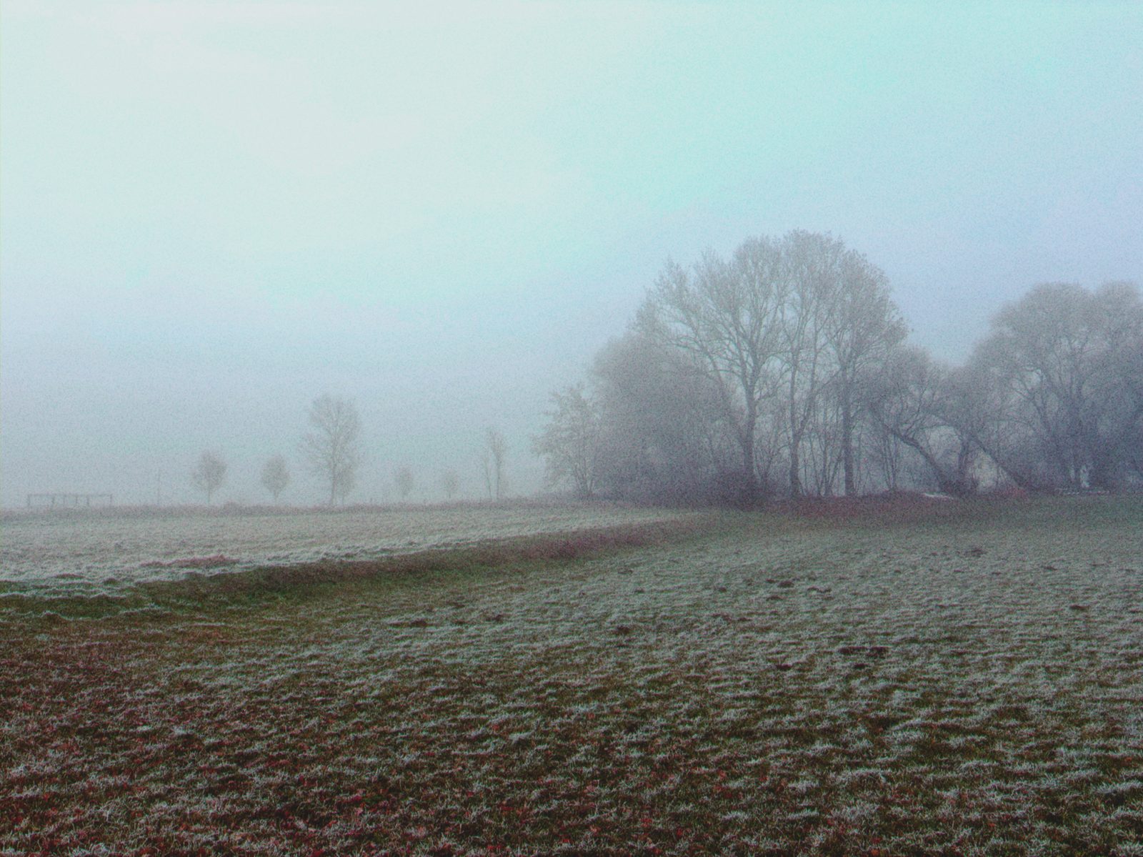IMG_0169.png