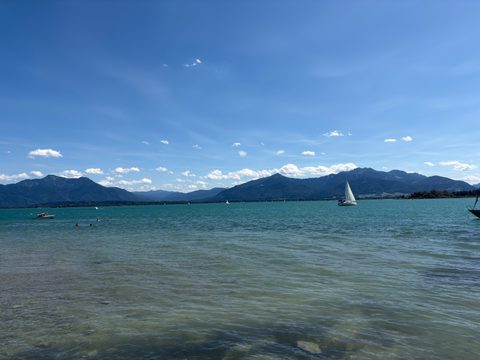 IMG_4090.png