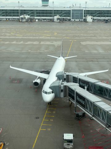 IMG_1753.png