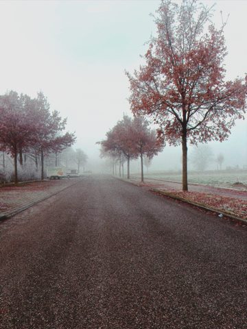 IMG_0167.png