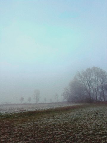 IMG_0168.png