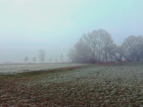 IMG_0169.png
