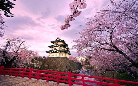 japan-cupyb43e8vl4w2n7.jpg