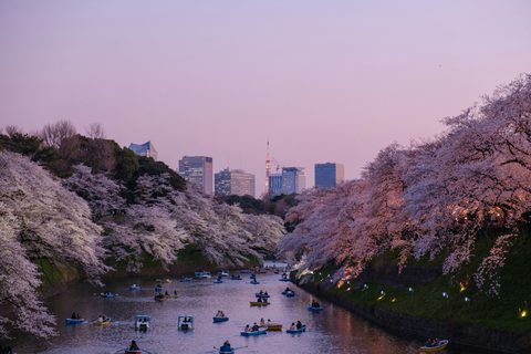 yu-kato-824OwkP7sgk-unsplash.jpg